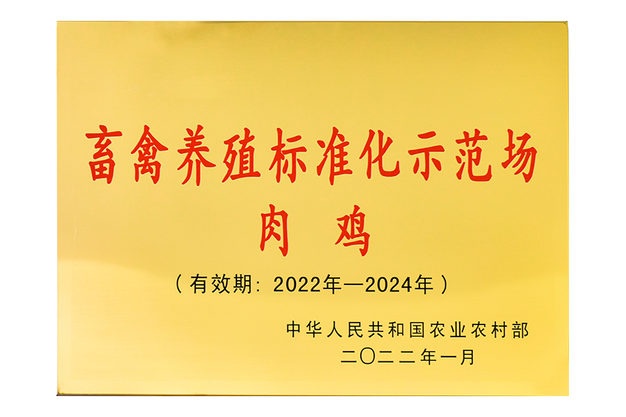 20240990158377574